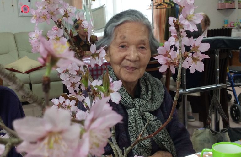 お花見