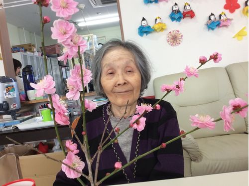 お花見
