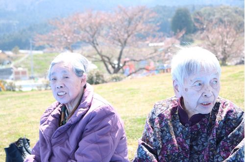 お花見